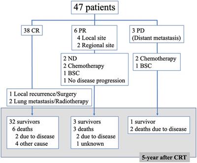 Chemoradiotherapy with 3-weekly CDDP 80 mg/m2 for head and neck squamous cell carcinoma: 5-year survival data from a phase 2 study